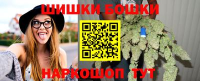 крисы Кунгур