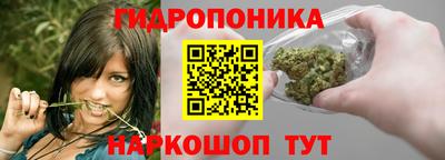 крисы Кунгур