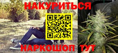 крисы Кунгур