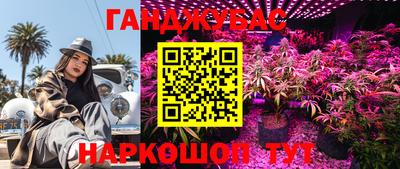 крисы Кунгур
